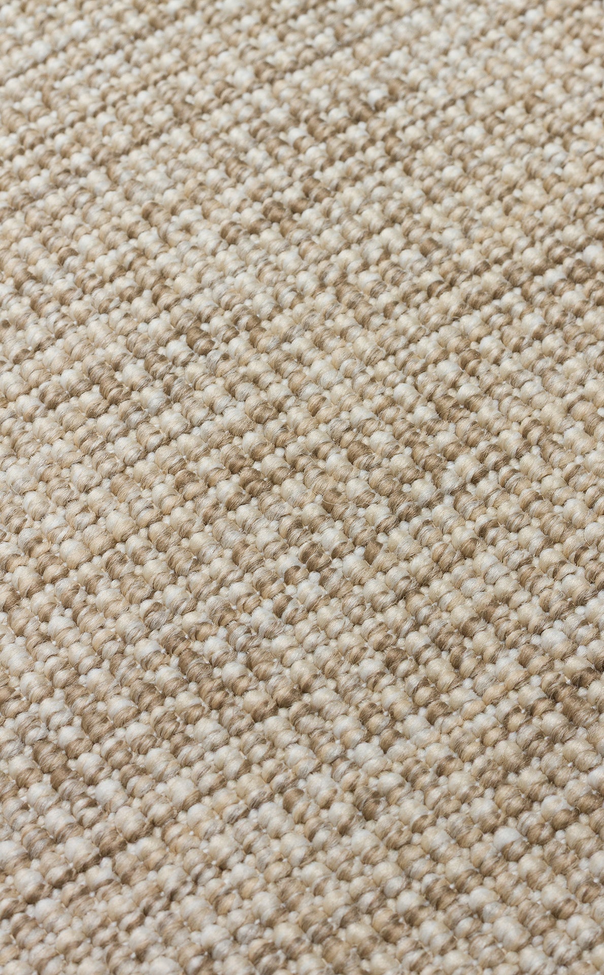 Siyah Kumaş Bordürlü Bej Sisal Halı - El Yapımı, Dayanıklı, Modern Tasarım - ZHR_2703_L.Beige_BRD_Black